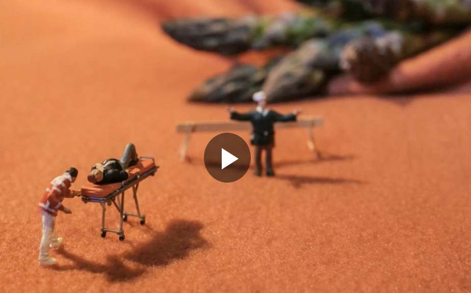 A miniatűr fotózás titkai – Pásztor Virág